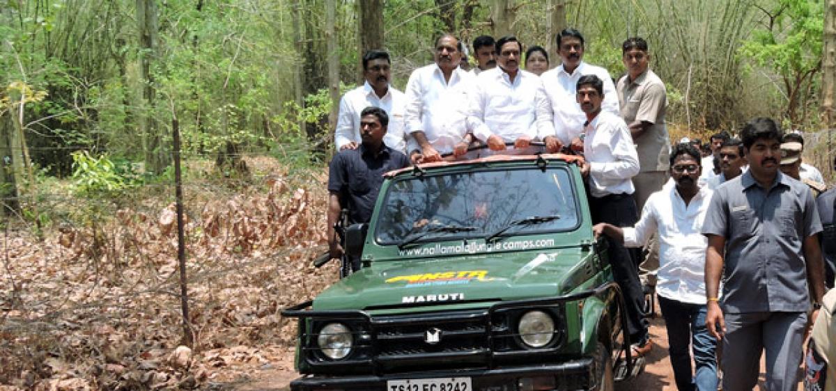 Nallamala Jungle Camp to promote eco-tourism