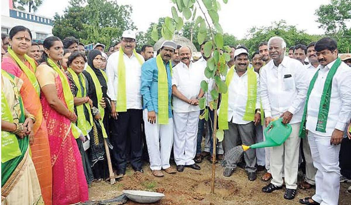 Haritha Haram effective remedy for drought: Kadiyam Srihari