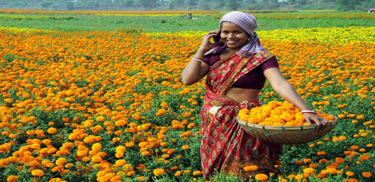 57% households are landless; 83% have mobile phones