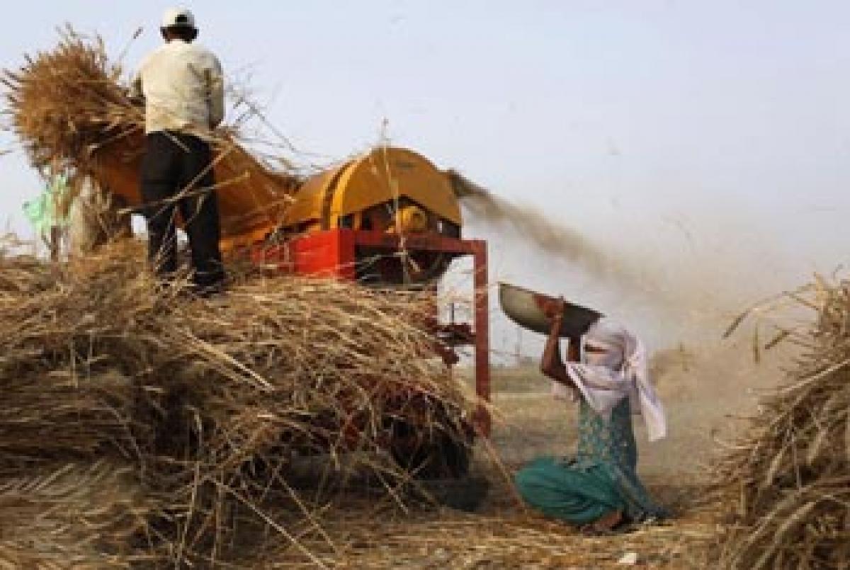 UN calls for higher agri productivity triggers