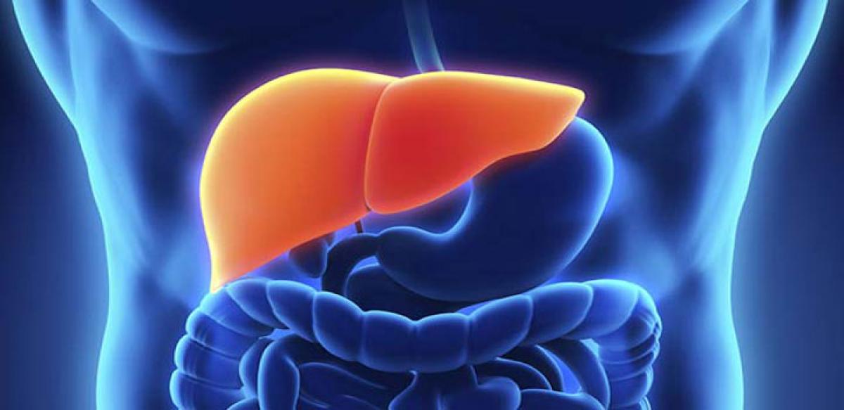 Liver recovers faster on low sugar diets