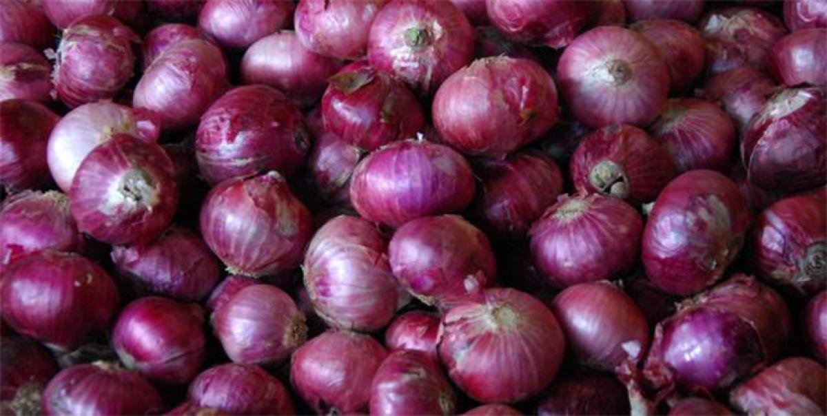 Onion prices likely to fall in 10 days