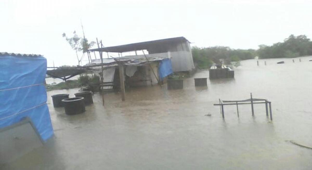 Heavy rains in Adilabad dist inundate low-lying areas.
