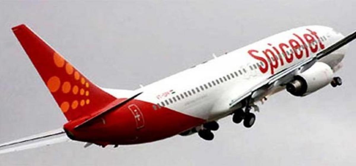 SpiceJet to place order for 100 new planes 