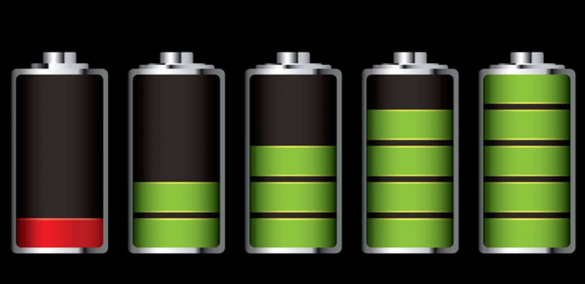 Fungus can lead to better rechargeable batteries