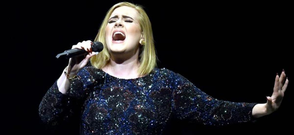 Adele endorses Hillary Clinton at her concert