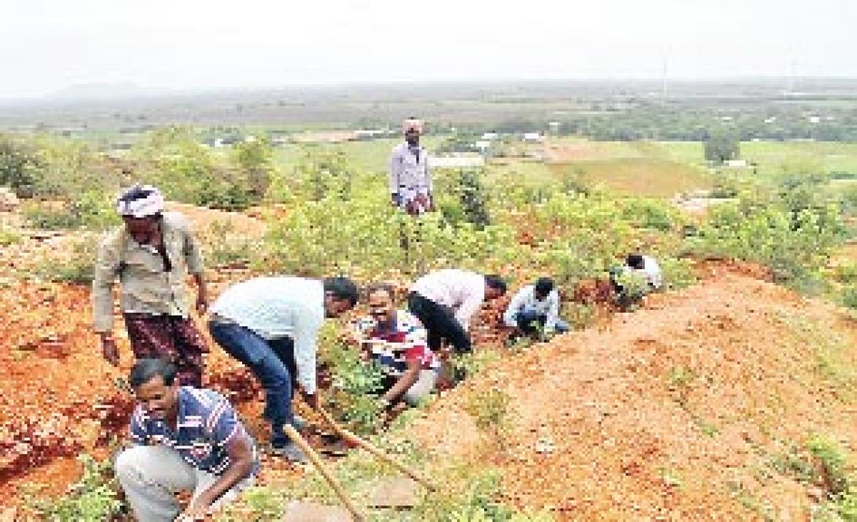 Suzlon takes up massive plantation programme