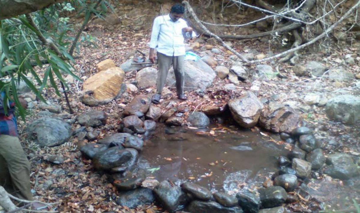 Waterholes turn saviours for wildlife in Papikondalu