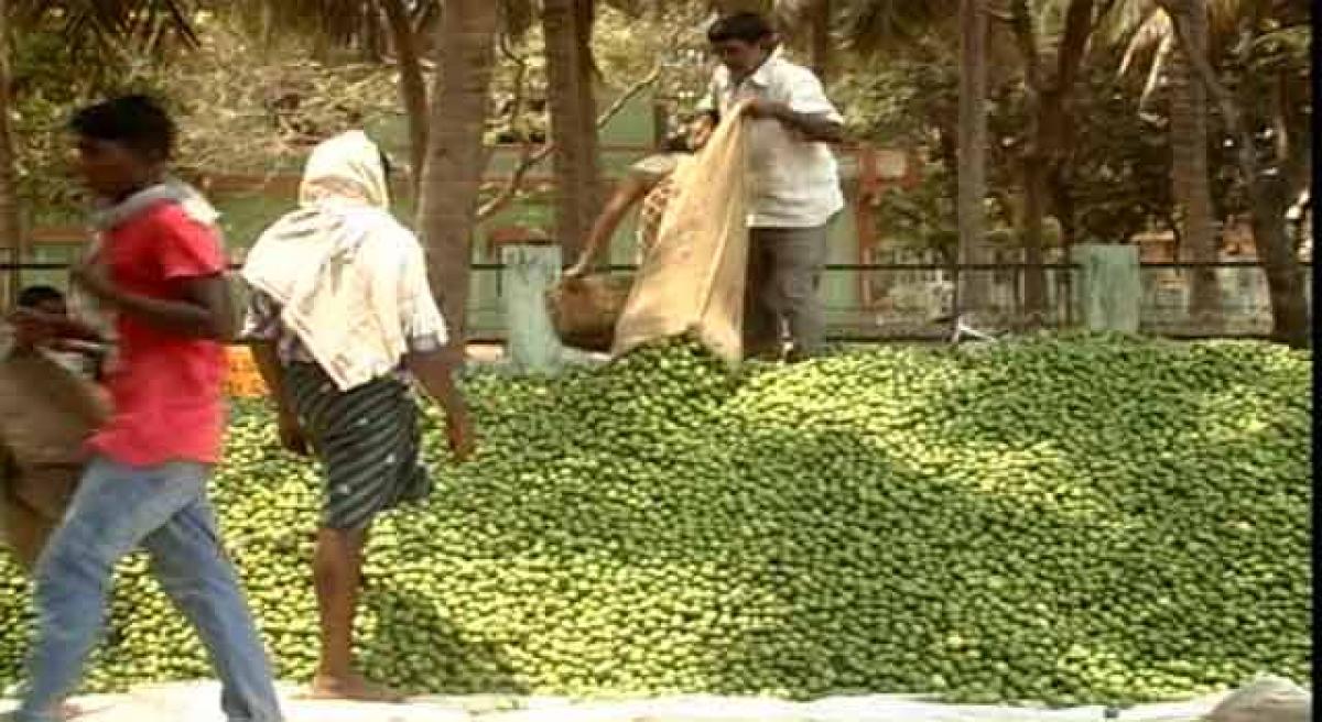 Luck smiles on lemon farmers