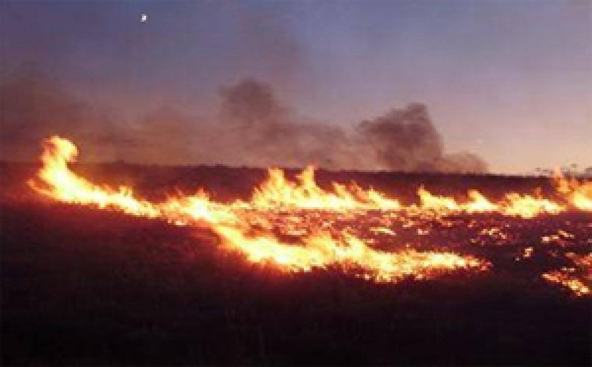 Wildfires in Croatia evacuates dozens