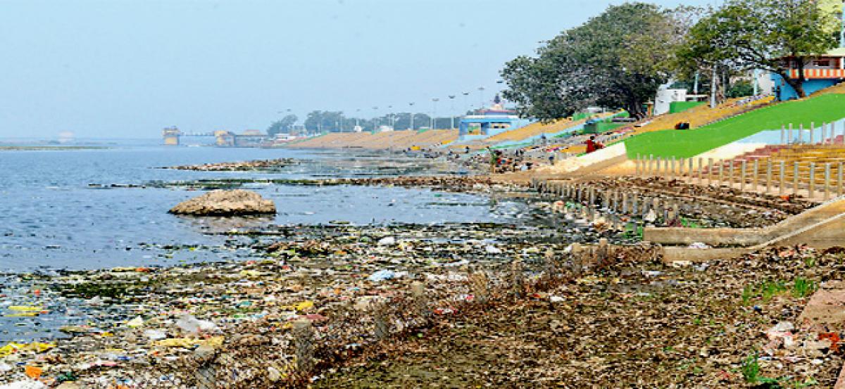 Garbage chokes River Godavari