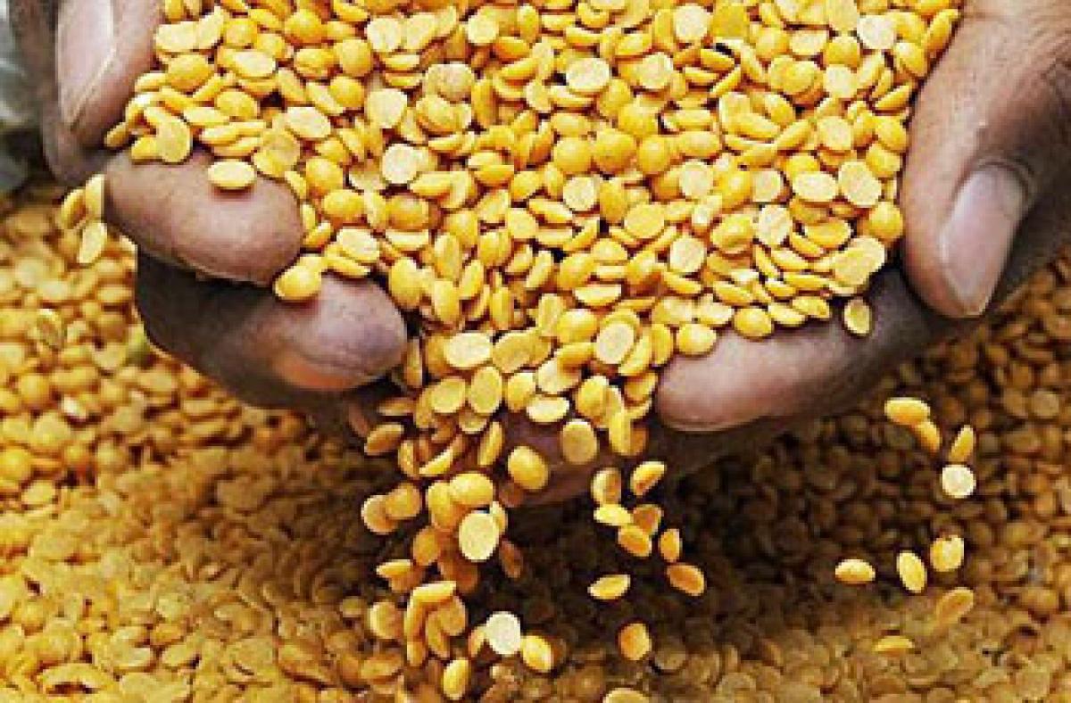 Telangana Govt to procure turdal at market prices