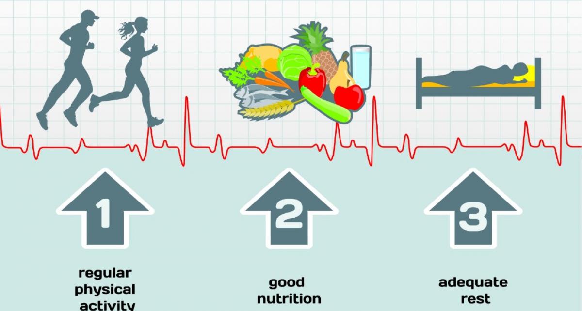 Healthy lifestyle reduces end-of-life disability