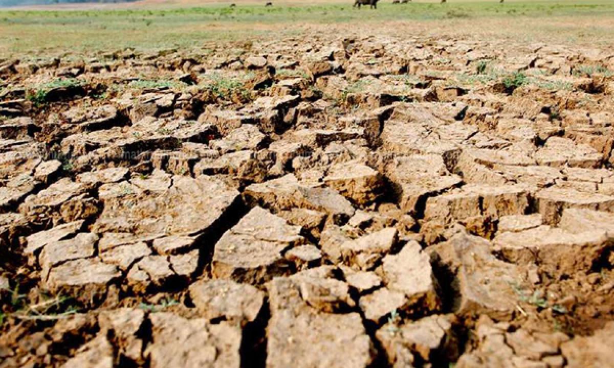 Kerala to experience severe drought this year