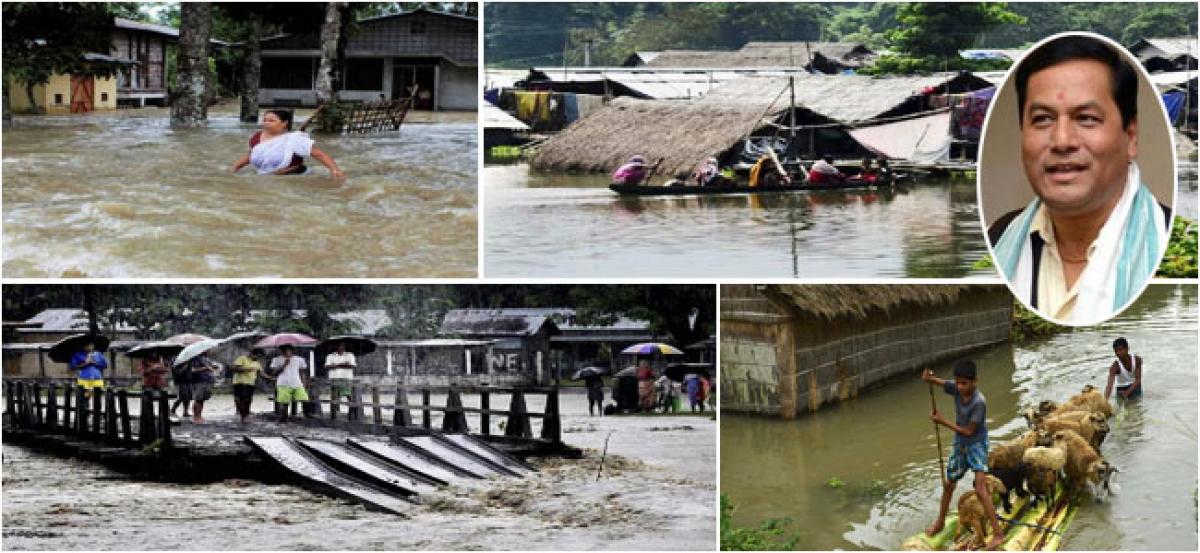 Assam CM asks for securing safety of animals during floods