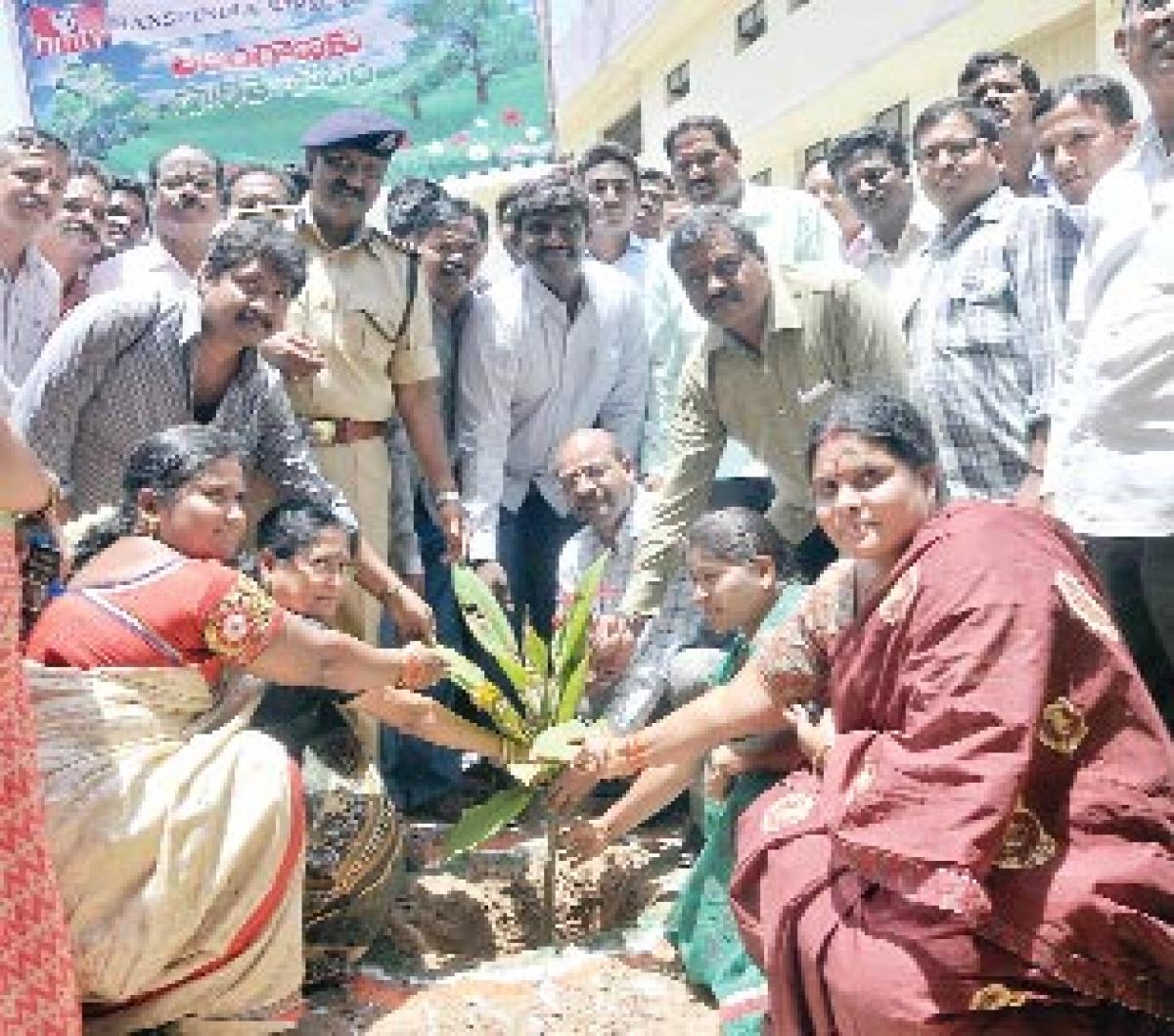 Hans India HMTV organise plantation drive