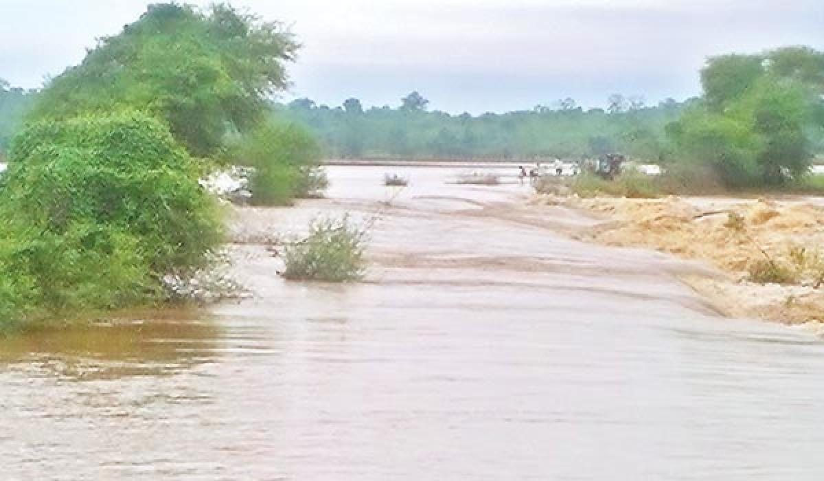 Rivulets in spate in West Godavari