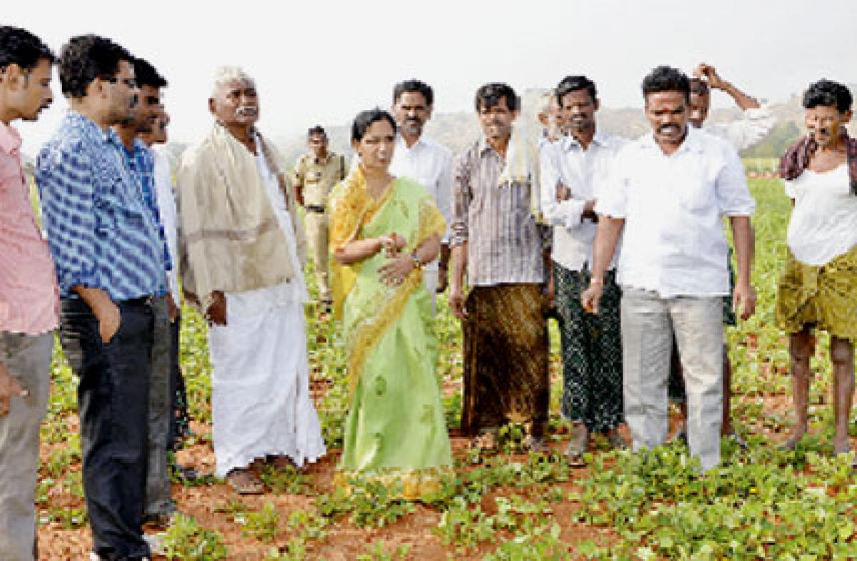 Construct one lakh farm ponds: Sunitha