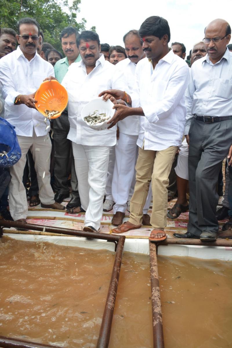 TRS will be in power for another 20 yrs: Talasani Srinivas Yadav