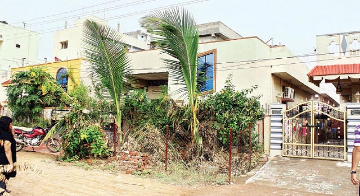 GHMC to make plantation mandatory