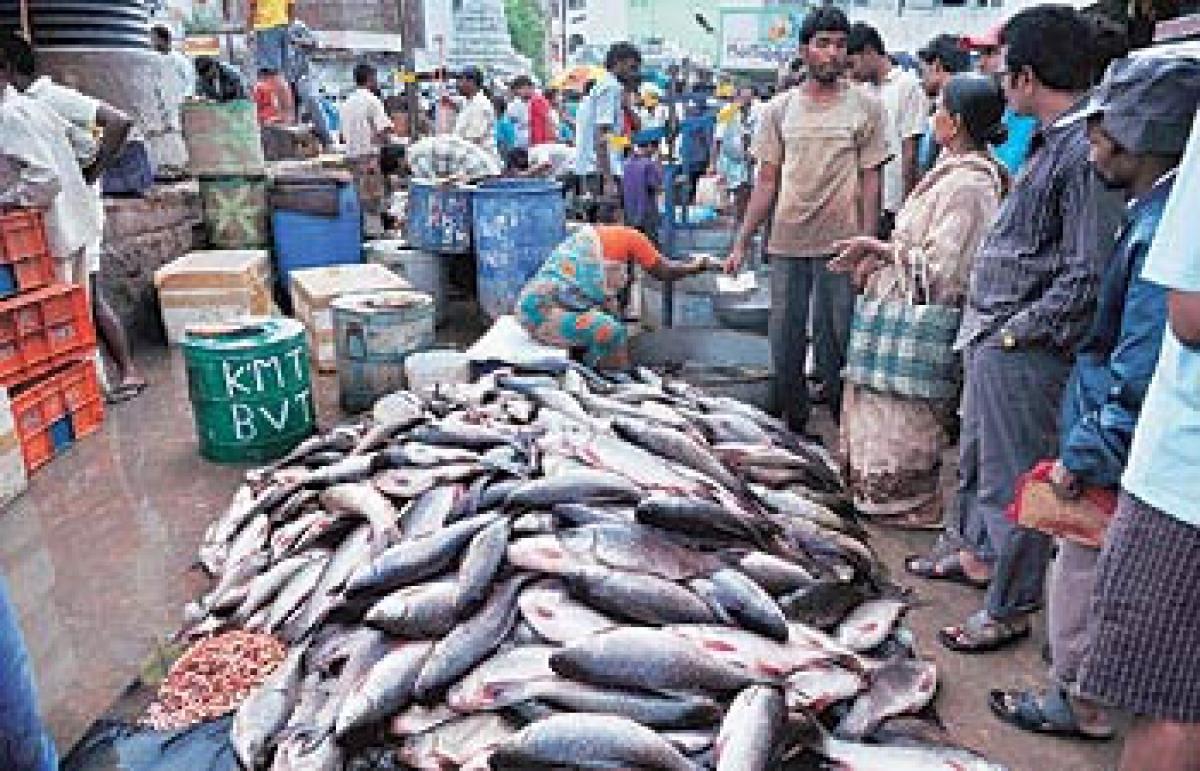 Construct fish markets immediately: CPI (M) to GHMC