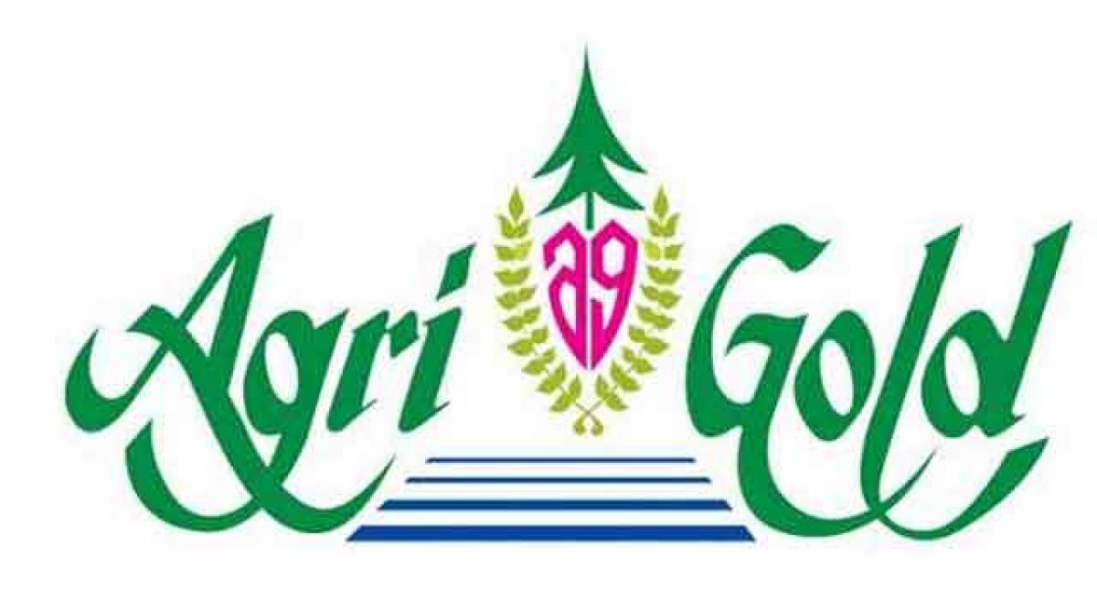 AP for CBI probe  into Agrigold