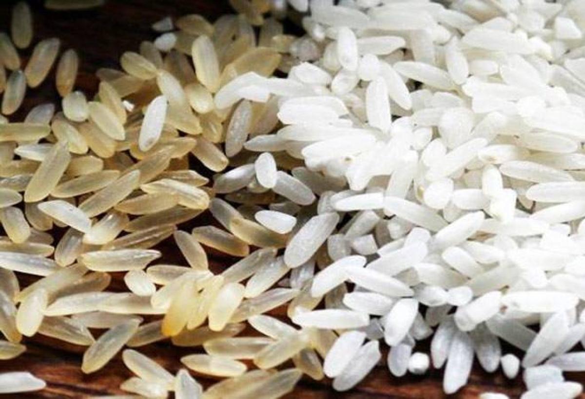 Plastic rice triggers panic in AP, Telangana