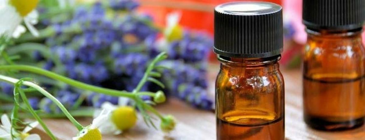 These Essential oils can heal your everyday ailments