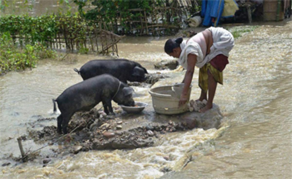 21 Killed In Rain-Related Incidents Across 4 States In India