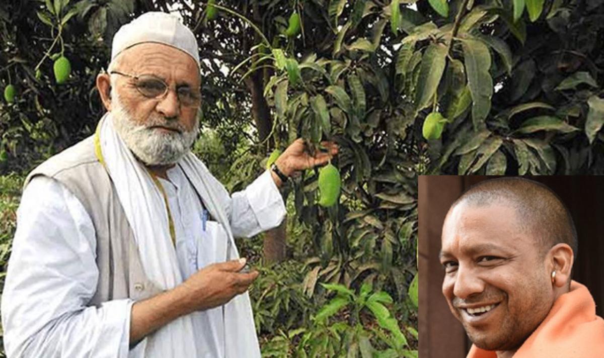 Now, a mango named after UP CM Yogi Adityanath