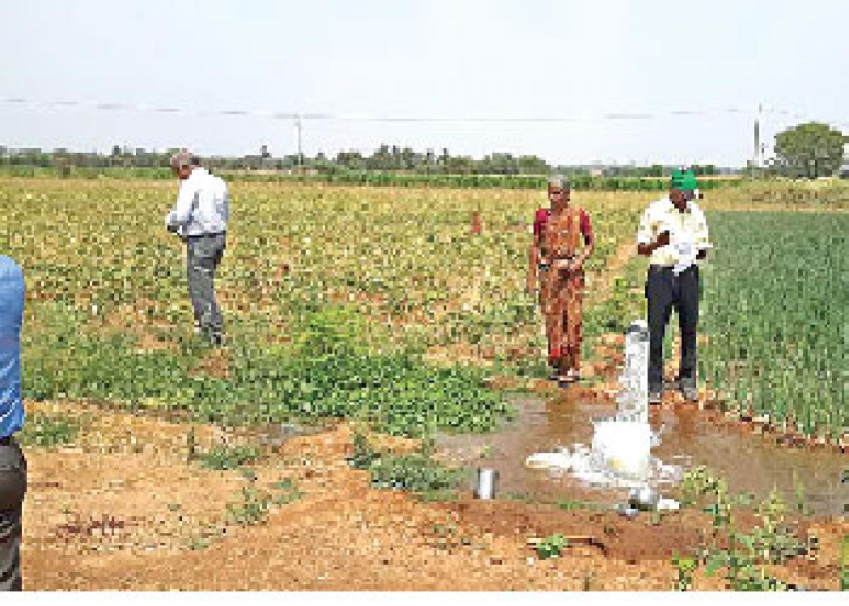 Solar pumpsets find wide acceptance among farmers