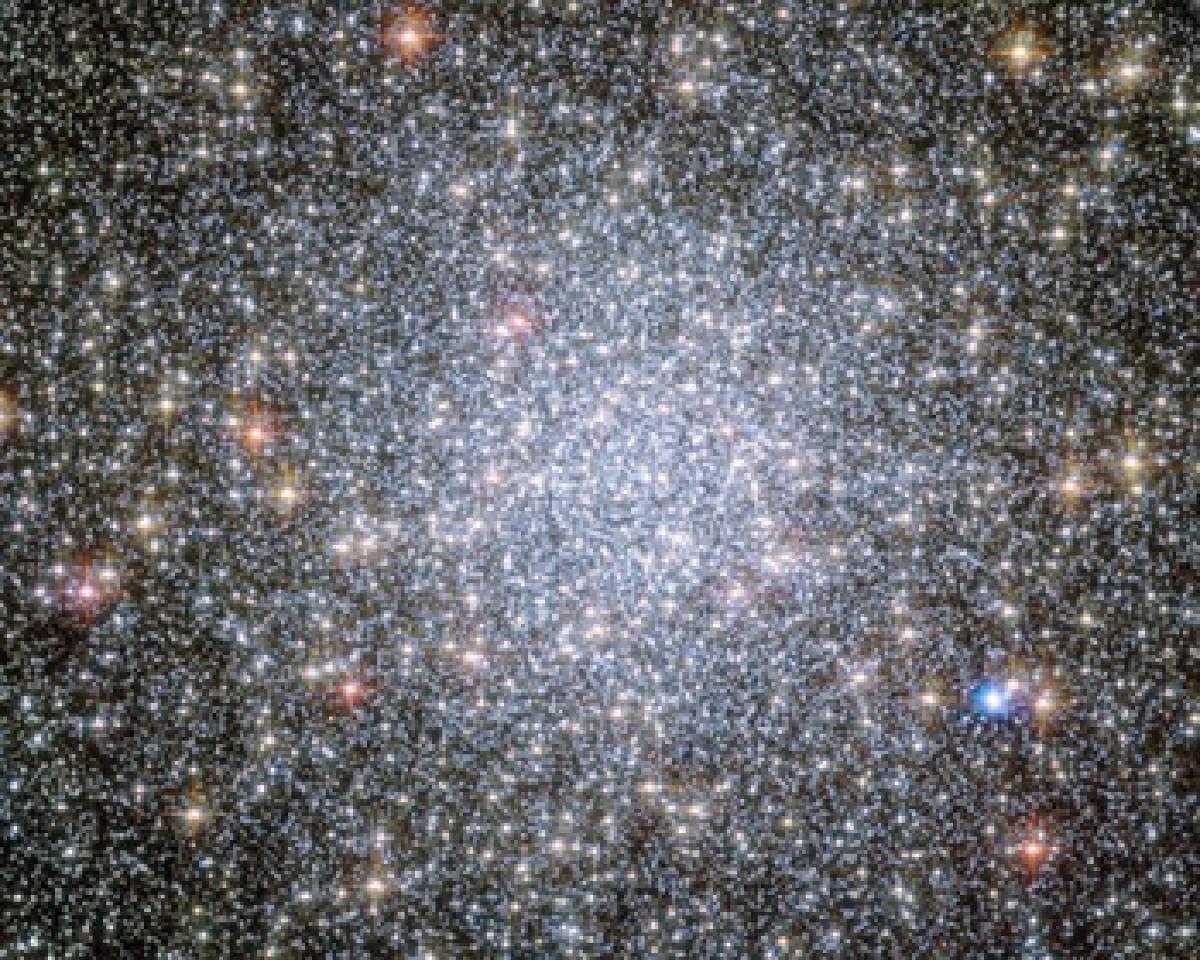 Globular star clusters may host planet with intelligent life