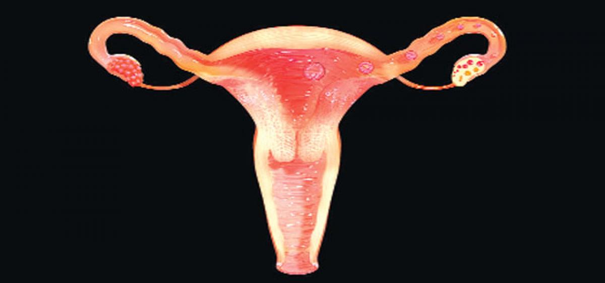 3-D mini female reproductive system may transform drug testing