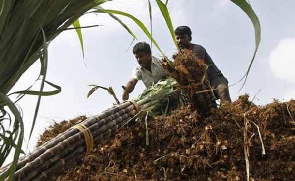 Modern Agriculture Can Boost Chhattisgarhs Economy: Minister