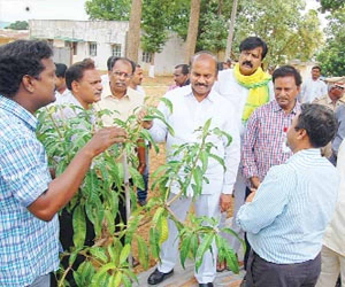 Develop high-yielding varieties: Prathipati