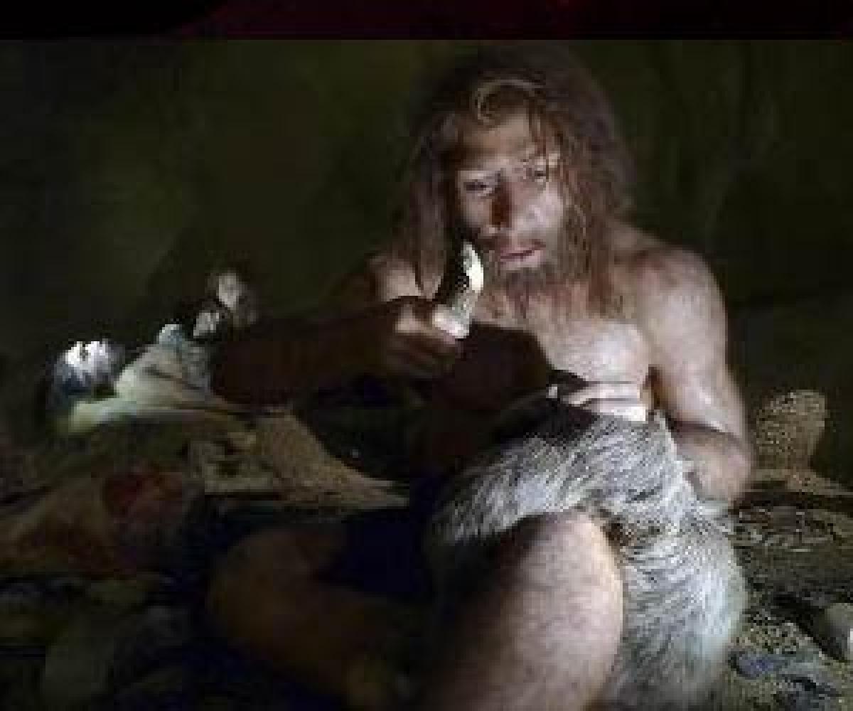 Humans got evolutionary edge over Neanderthals because of diet?