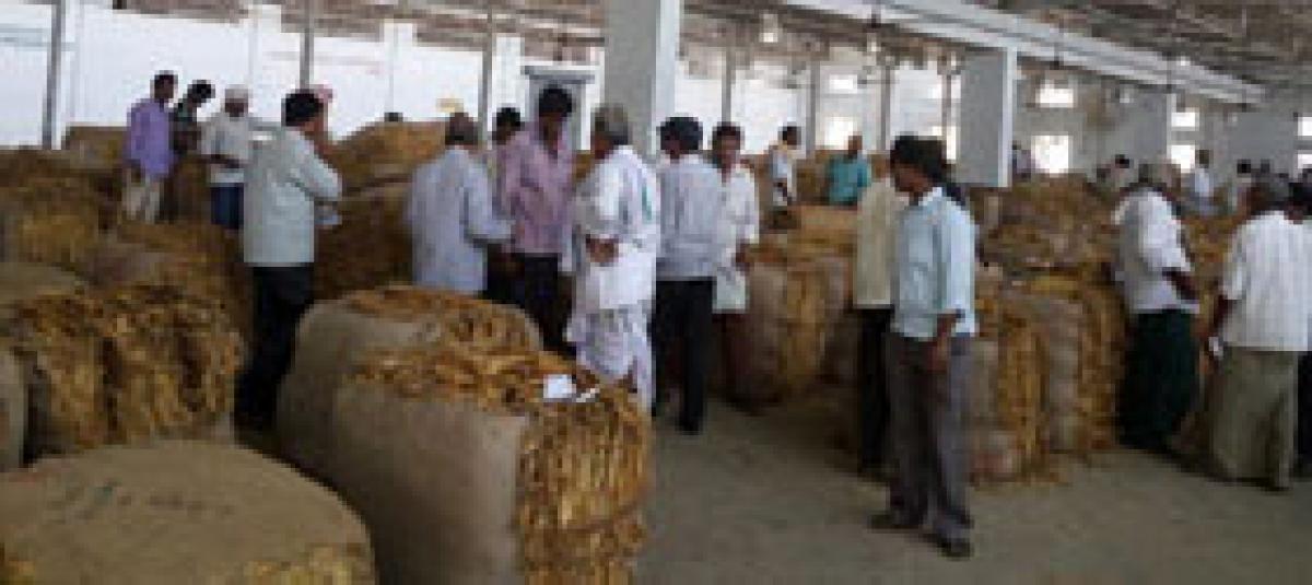 Tobacco farmers rue lack of remunerative price