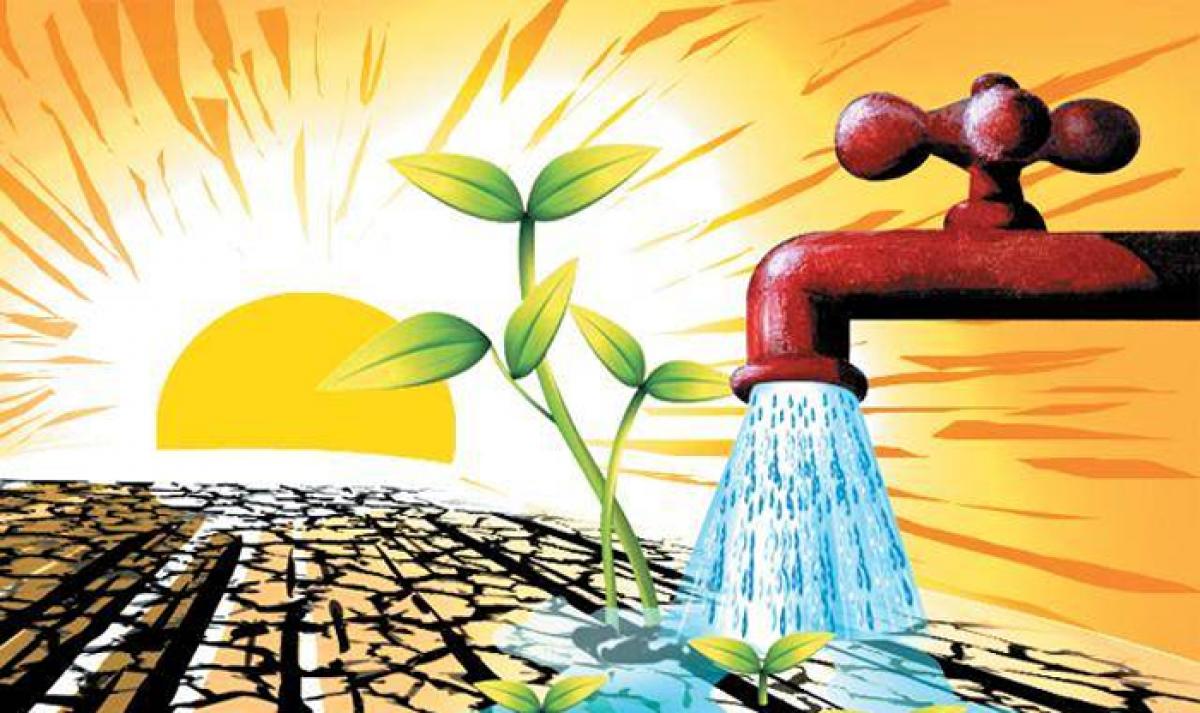 Irrigation dept revives Survey wing