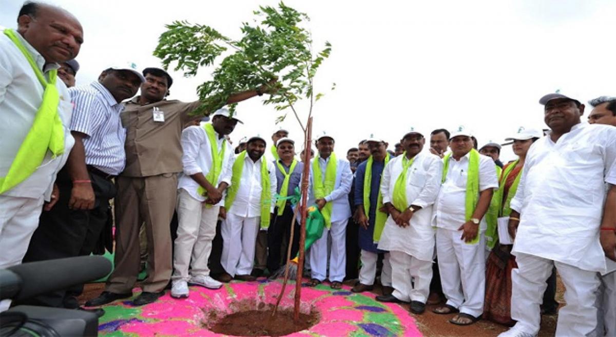 Will bring rains, send back monkeys into forests: KCR