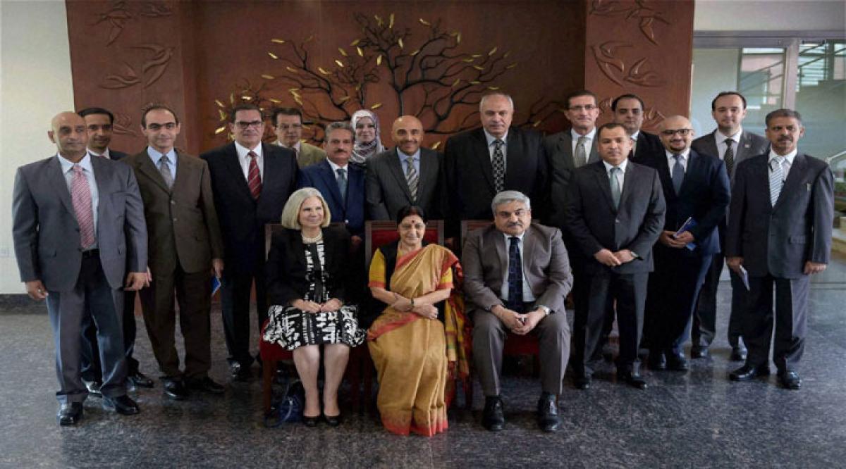 Sushma Swaraj in Israel