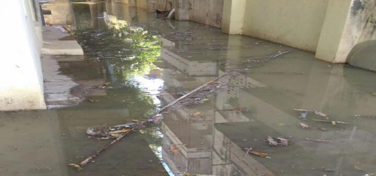 Sewage drowns apartments in Sindhi Colony