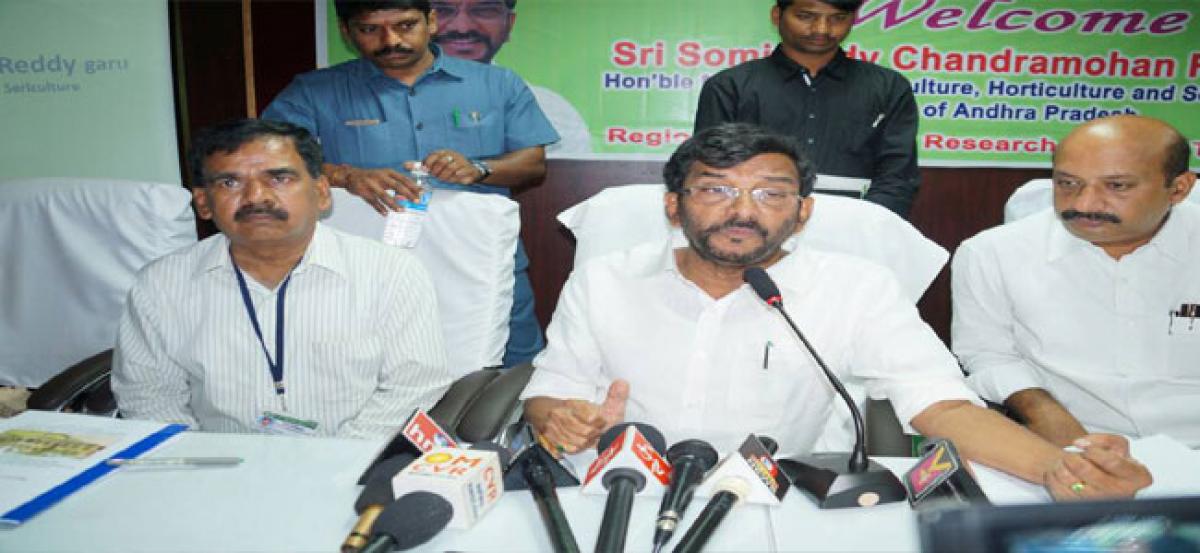 Crop yield very low in north Andhra: Somireddy Chandramohan Reddy