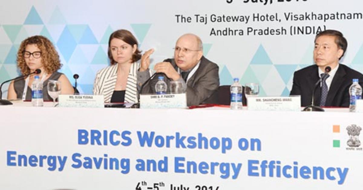 Role of energy efficiency in sustained growth stressed