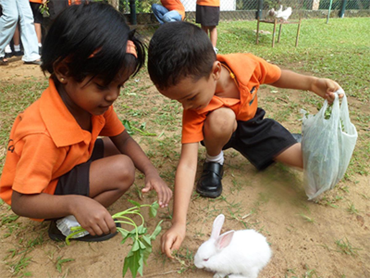 Initiative to bring nature, students closer