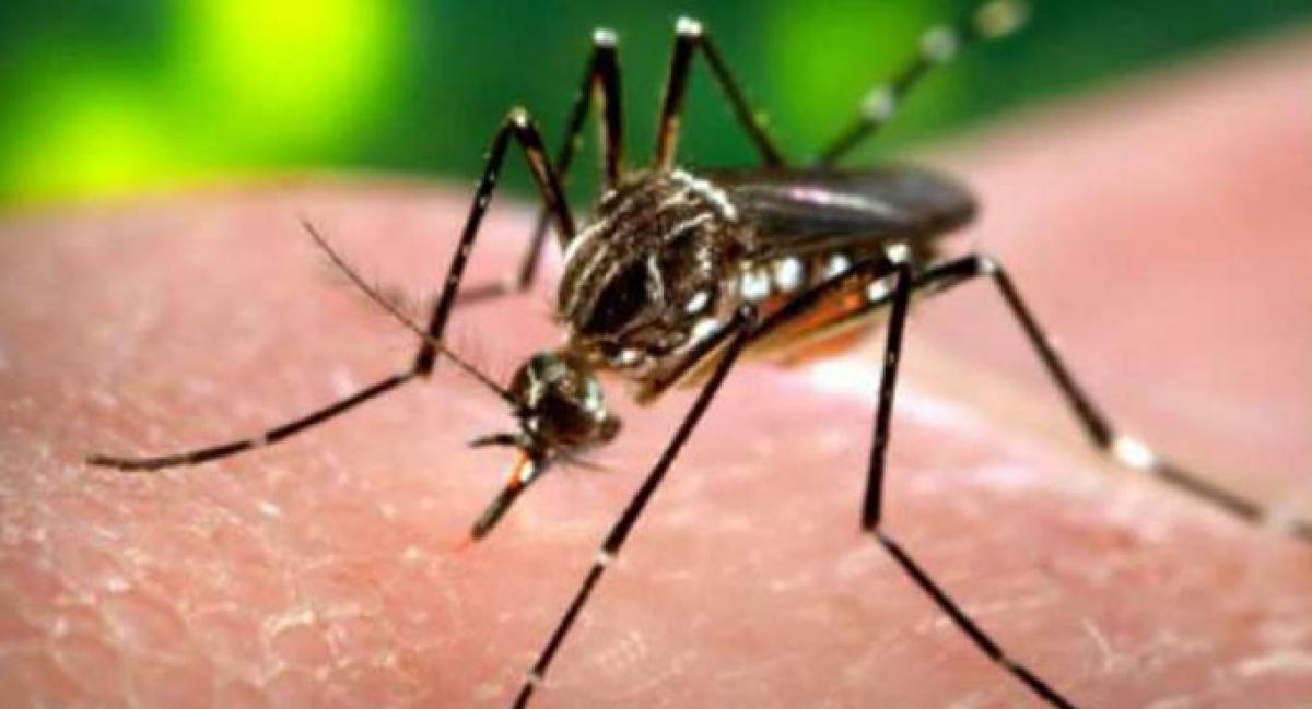 New mechanism to inhibit dengue virus infection