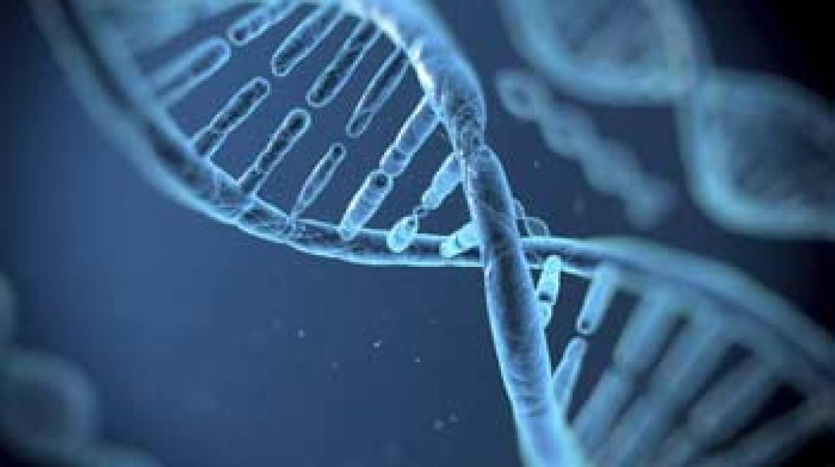 Gene mutation linked to muscle damage, heart problems