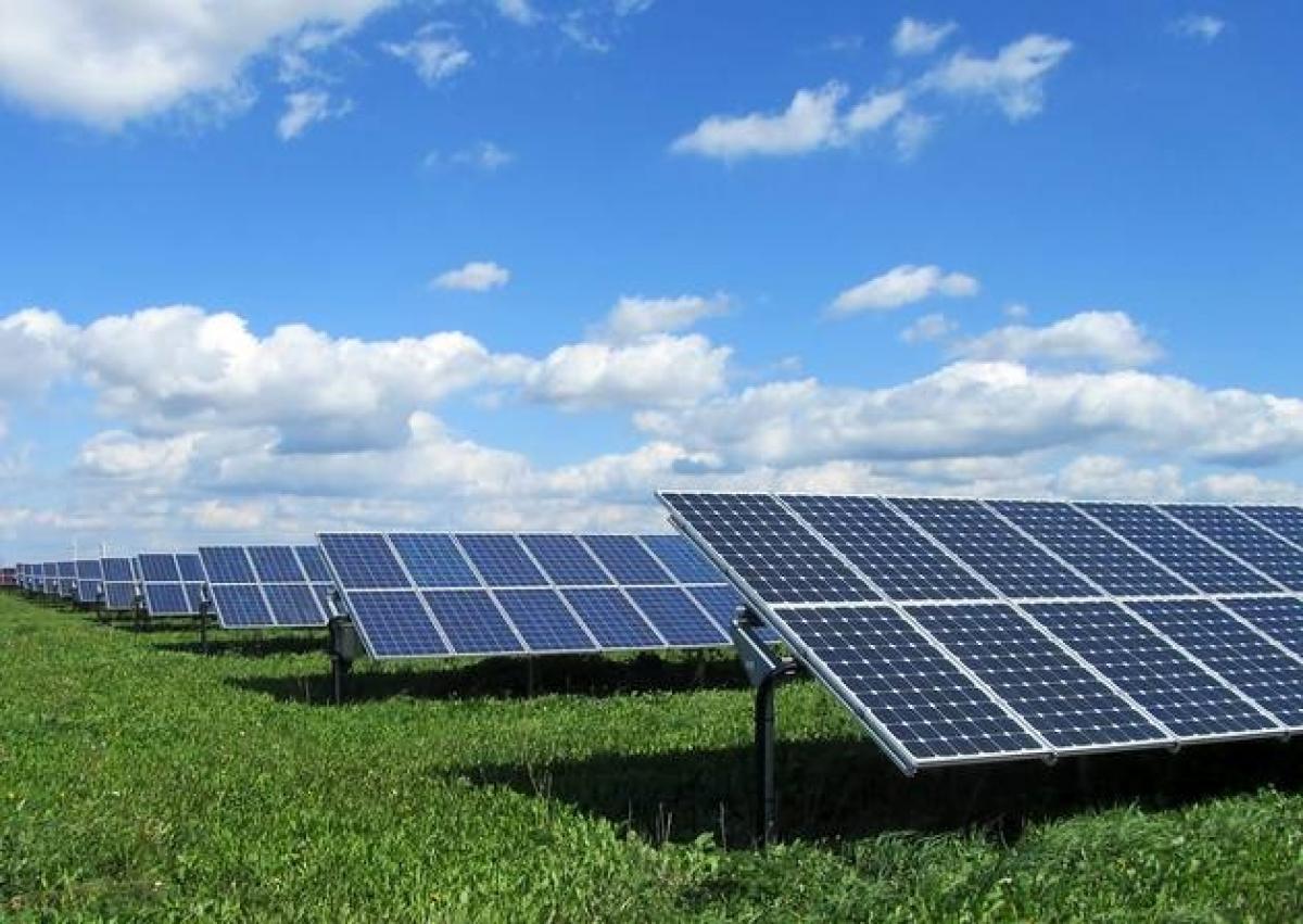 AP to launch Solar Farming to generate power from growing crops