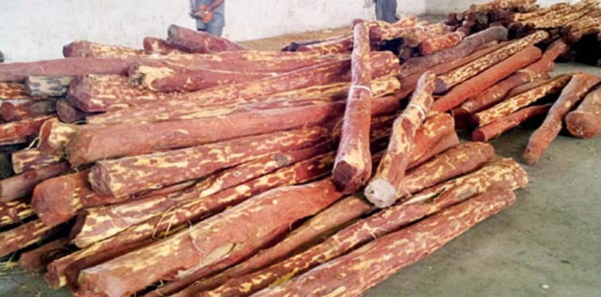 7 arrested; red sanders logs worth 32 lakh seized