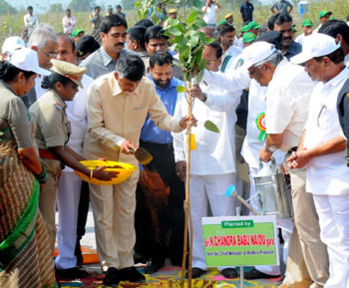 50 cr saplings in 10 yrs: AP CM