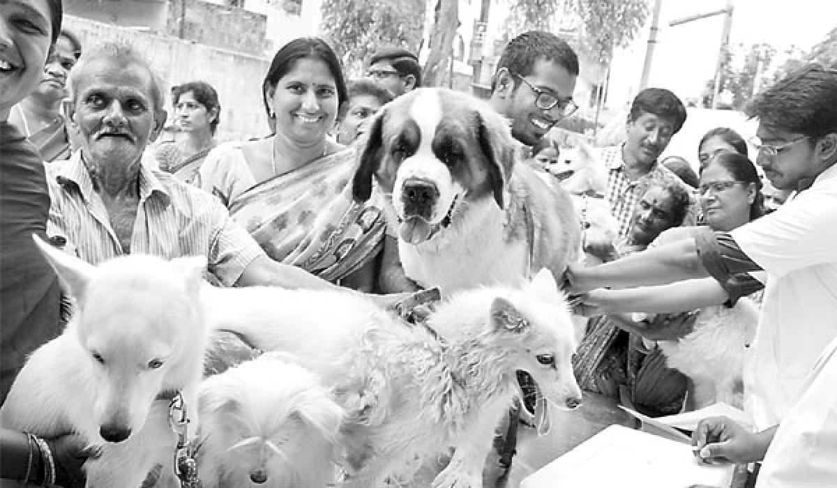 Awareness on zoonotic diseases stressed